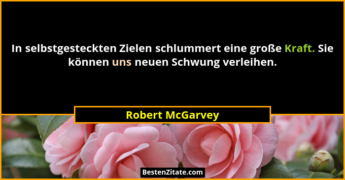 In selbstgesteckten Zielen schlummert eine große Kraft. Sie können uns neuen Schwung verleihen.... - Robert McGarvey