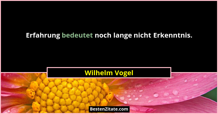 Erfahrung bedeutet noch lange nicht Erkenntnis.... - Wilhelm Vogel