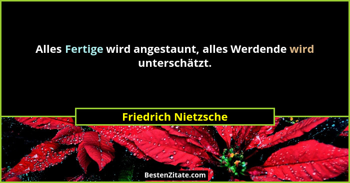 Alles Fertige wird angestaunt, alles Werdende wird unterschätzt.... - Friedrich Nietzsche