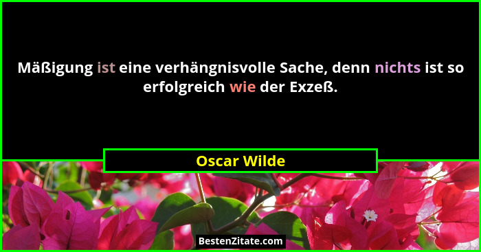 Mäßigung ist eine verhängnisvolle Sache, denn nichts ist so erfolgreich wie der Exzeß.... - Oscar Wilde