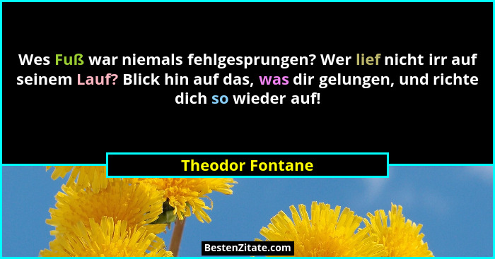 Wes Fuß war niemals fehlgesprungen? Wer lief nicht irr auf seinem Lauf? Blick hin auf das, was dir gelungen, und richte dich so wied... - Theodor Fontane
