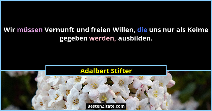 Wir müssen Vernunft und freien Willen, die uns nur als Keime gegeben werden, ausbilden.... - Adalbert Stifter
