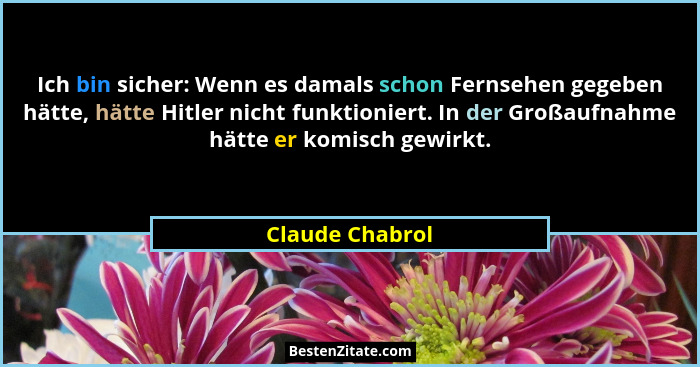 Ich bin sicher: Wenn es damals schon Fernsehen gegeben hätte, hätte Hitler nicht funktioniert. In der Großaufnahme hätte er komisch g... - Claude Chabrol
