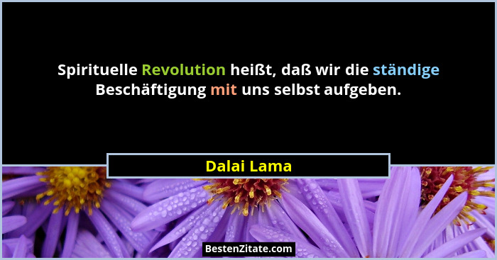 Spirituelle Revolution heißt, daß wir die ständige Beschäftigung mit uns selbst aufgeben.... - Dalai Lama