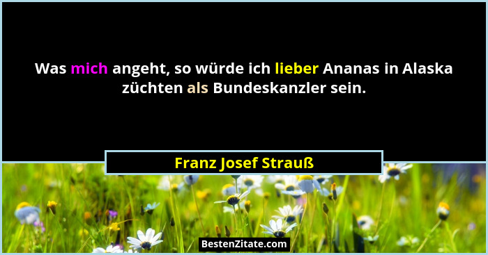 Was mich angeht, so würde ich lieber Ananas in Alaska züchten als Bundeskanzler sein.... - Franz Josef Strauß