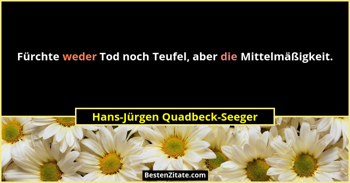 Fürchte weder Tod noch Teufel, aber die Mittelmäßigkeit.... - Hans-Jürgen Quadbeck-Seeger