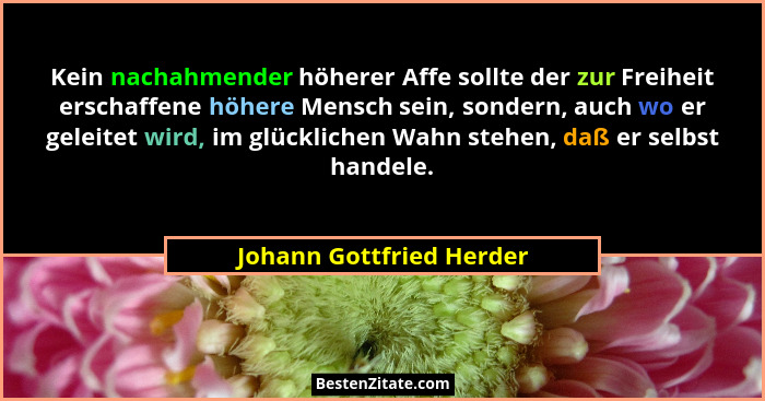 Kein nachahmender höherer Affe sollte der zur Freiheit erschaffene höhere Mensch sein, sondern, auch wo er geleitet wird, im... - Johann Gottfried Herder