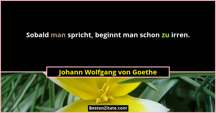 Sobald man spricht, beginnt man schon zu irren.... - Johann Wolfgang von Goethe