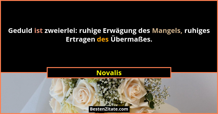 Geduld ist zweierlei: ruhige Erwägung des Mangels, ruhiges Ertragen des Übermaßes.... - Novalis
