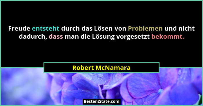 Freude entsteht durch das Lösen von Problemen und nicht dadurch, dass man die Lösung vorgesetzt bekommt.... - Robert McNamara