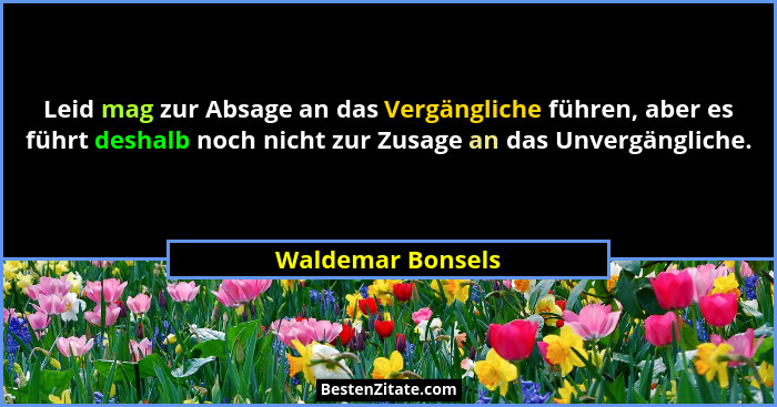 Leid mag zur Absage an das Vergängliche führen, aber es führt deshalb noch nicht zur Zusage an das Unvergängliche.... - Waldemar Bonsels
