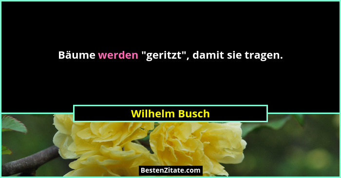 Bäume werden "geritzt", damit sie tragen.... - Wilhelm Busch