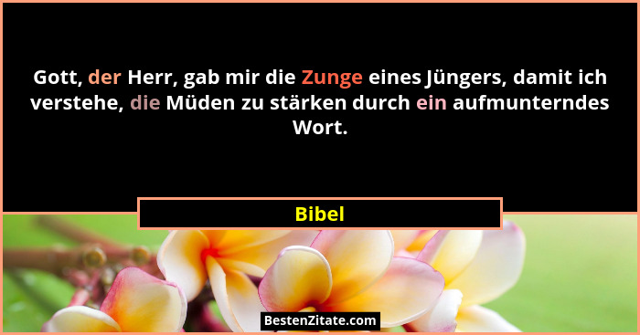 Gott, der Herr, gab mir die Zunge eines Jüngers, damit ich verstehe, die Müden zu stärken durch ein aufmunterndes Wort.... - Bibel