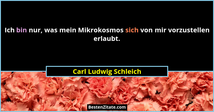 Ich bin nur, was mein Mikrokosmos sich von mir vorzustellen erlaubt.... - Carl Ludwig Schleich
