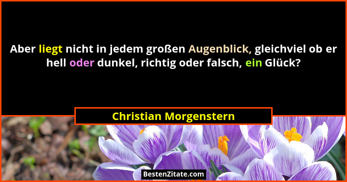 Aber liegt nicht in jedem großen Augenblick, gleichviel ob er hell oder dunkel, richtig oder falsch, ein Glück?... - Christian Morgenstern