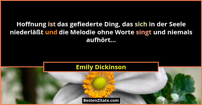 Hoffnung ist das gefiederte Ding, das sich in der Seele niederläßt und die Melodie ohne Worte singt und niemals aufhört...... - Emily Dickinson