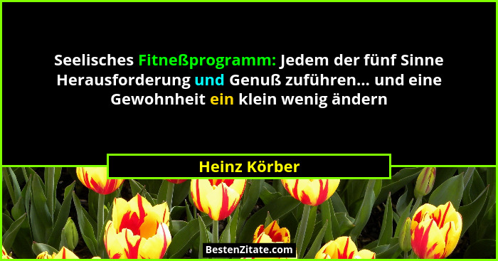 Seelisches Fitneßprogramm: Jedem der fünf Sinne Herausforderung und Genuß zuführen... und eine Gewohnheit ein klein wenig ändern... - Heinz Körber