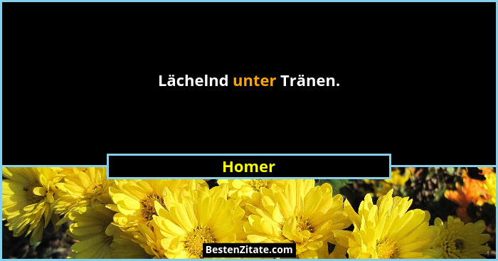 Lächelnd unter Tränen.... - Homer