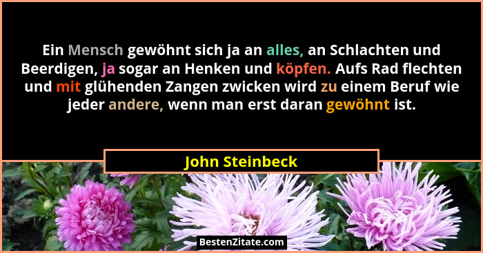 Ein Mensch gewöhnt sich ja an alles, an Schlachten und Beerdigen, ja sogar an Henken und köpfen. Aufs Rad flechten und mit glühenden... - John Steinbeck