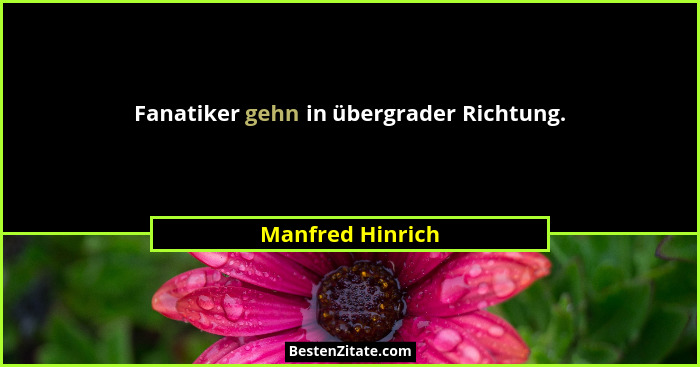 Fanatiker gehn in übergrader Richtung.... - Manfred Hinrich