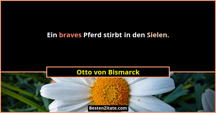 Ein braves Pferd stirbt in den Sielen.... - Otto von Bismarck