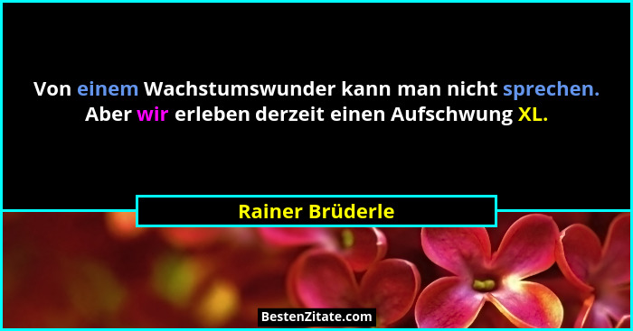 Von einem Wachstumswunder kann man nicht sprechen. Aber wir erleben derzeit einen Aufschwung XL.... - Rainer Brüderle
