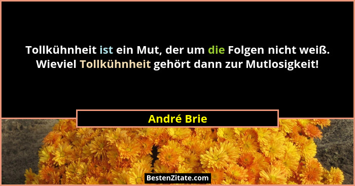 Tollkühnheit ist ein Mut, der um die Folgen nicht weiß. Wieviel Tollkühnheit gehört dann zur Mutlosigkeit!... - André Brie