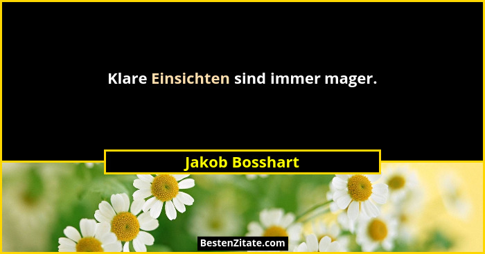 Klare Einsichten sind immer mager.... - Jakob Bosshart