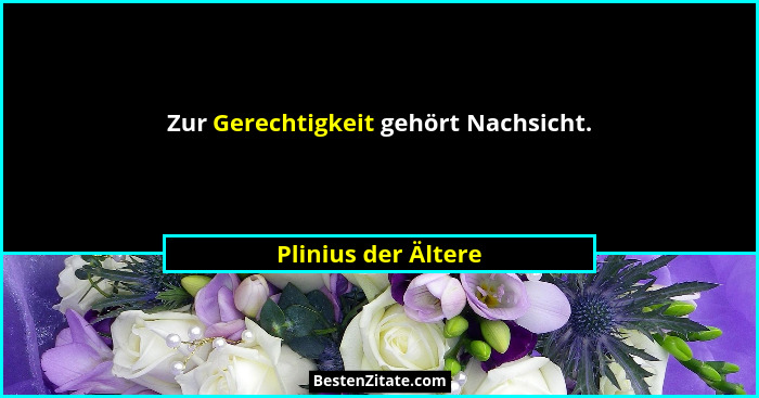 Zur Gerechtigkeit gehört Nachsicht.... - Plinius der Ältere