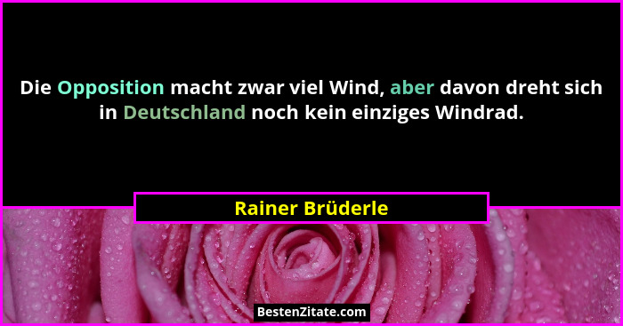Die Opposition macht zwar viel Wind, aber davon dreht sich in Deutschland noch kein einziges Windrad.... - Rainer Brüderle