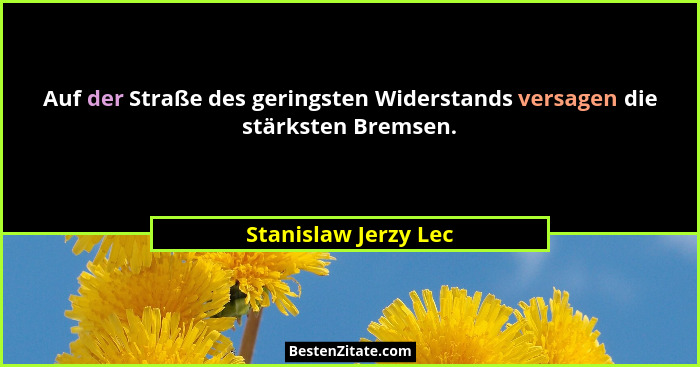 Auf der Straße des geringsten Widerstands versagen die stärksten Bremsen.... - Stanislaw Jerzy Lec