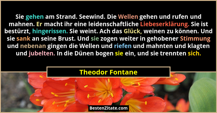 Sie gehen am Strand. Seewind. Die Wellen gehen und rufen und mahnen. Er macht ihr eine leidenschaftliche Liebeserklärung. Sie ist be... - Theodor Fontane