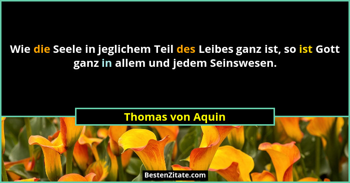 Wie die Seele in jeglichem Teil des Leibes ganz ist, so ist Gott ganz in allem und jedem Seinswesen.... - Thomas von Aquin