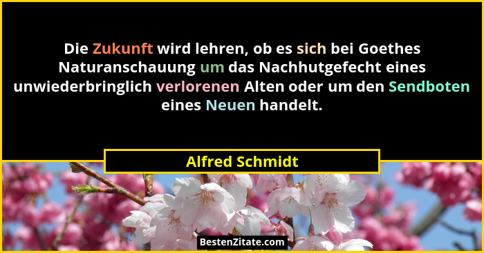 Die Zukunft wird lehren, ob es sich bei Goethes Naturanschauung um das Nachhutgefecht eines unwiederbringlich verlorenen Alten oder u... - Alfred Schmidt