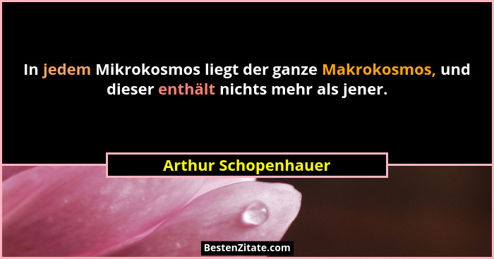 In jedem Mikrokosmos liegt der ganze Makrokosmos, und dieser enthält nichts mehr als jener.... - Arthur Schopenhauer