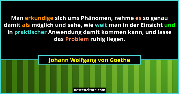 Man erkundige sich ums Phänomen, nehme es so genau damit als möglich und sehe, wie weit man in der Einsicht und in prakti... - Johann Wolfgang von Goethe