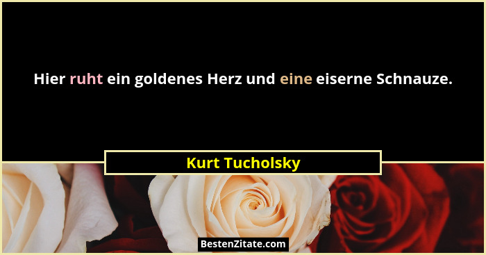 Hier ruht ein goldenes Herz und eine eiserne Schnauze.... - Kurt Tucholsky