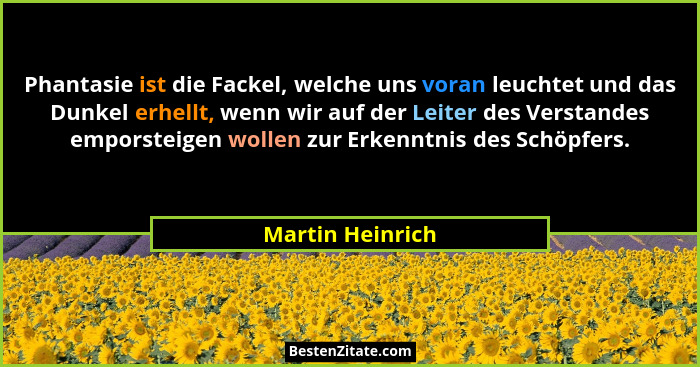 Phantasie ist die Fackel, welche uns voran leuchtet und das Dunkel erhellt, wenn wir auf der Leiter des Verstandes emporsteigen woll... - Martin Heinrich