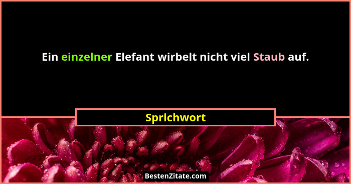 Ein einzelner Elefant wirbelt nicht viel Staub auf.... - Sprichwort