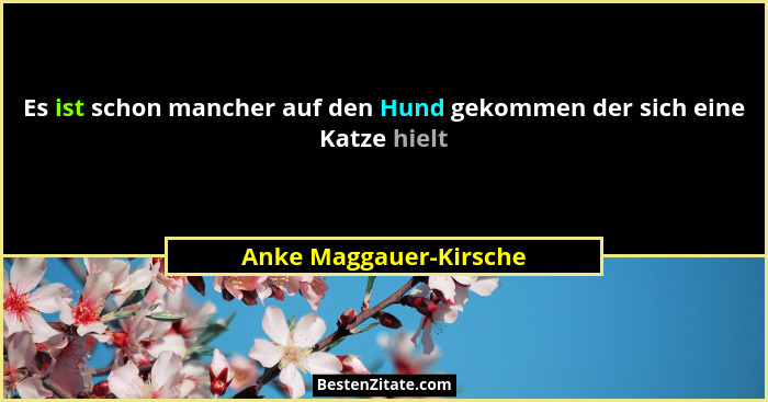 Es ist schon mancher auf den Hund gekommen der sich eine Katze hielt... - Anke Maggauer-Kirsche