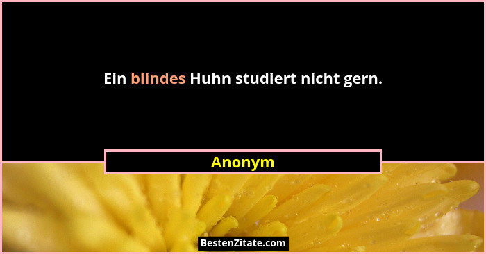 Ein blindes Huhn studiert nicht gern.... - Anonym