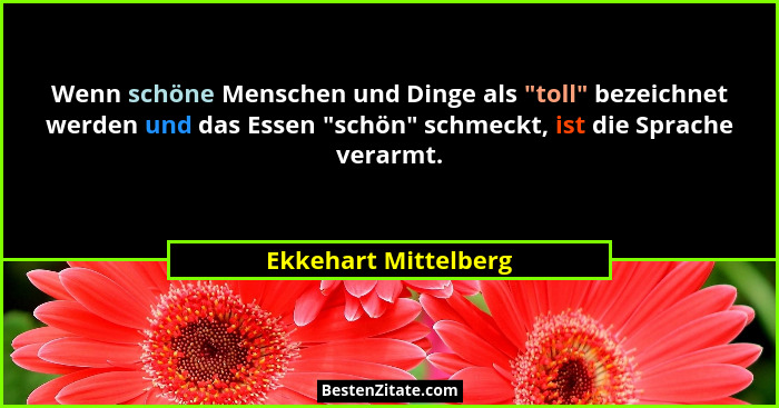 Wenn schöne Menschen und Dinge als "toll" bezeichnet werden und das Essen "schön" schmeckt, ist die Sprache vera... - Ekkehart Mittelberg