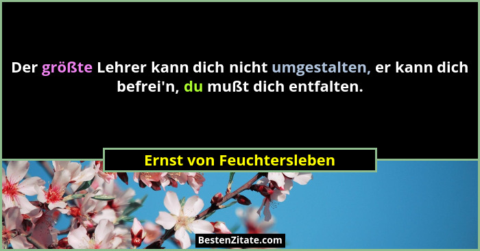 Der größte Lehrer kann dich nicht umgestalten, er kann dich befrei'n, du mußt dich entfalten.... - Ernst von Feuchtersleben