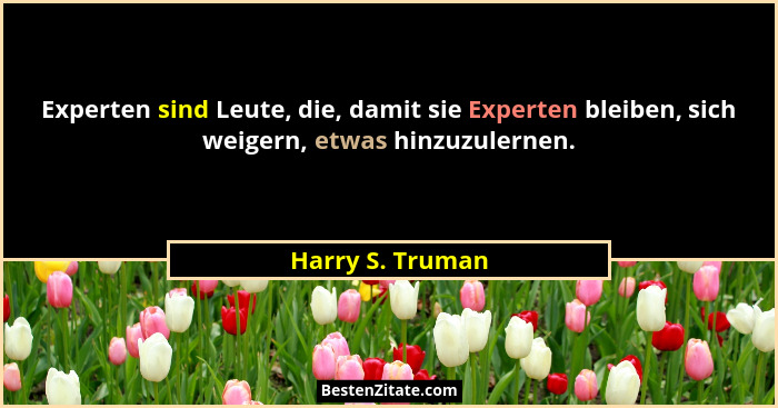 Experten sind Leute, die, damit sie Experten bleiben, sich weigern, etwas hinzuzulernen.... - Harry S. Truman