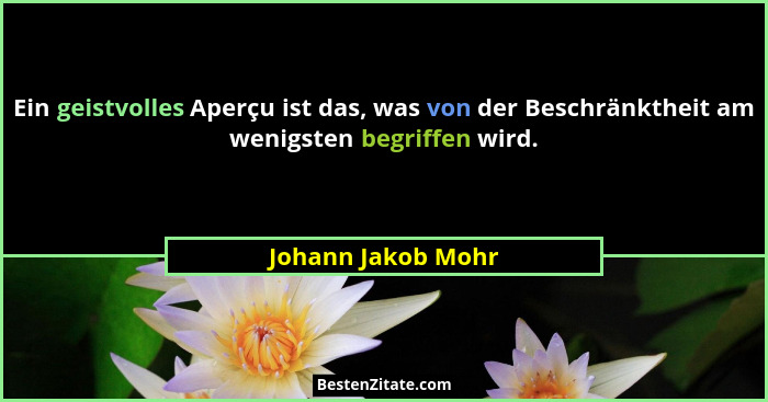 Ein geistvolles Aperçu ist das, was von der Beschränktheit am wenigsten begriffen wird.... - Johann Jakob Mohr