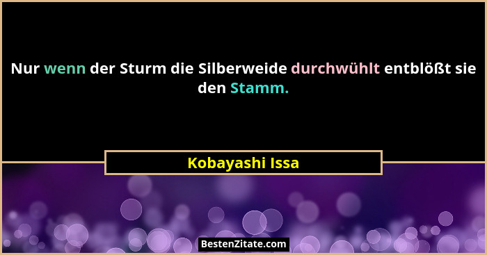 Nur wenn der Sturm die Silberweide durchwühlt entblößt sie den Stamm.... - Kobayashi Issa