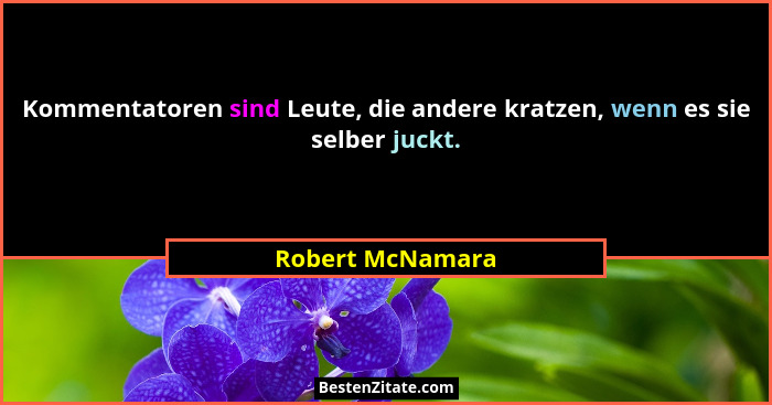 Kommentatoren sind Leute, die andere kratzen, wenn es sie selber juckt.... - Robert McNamara