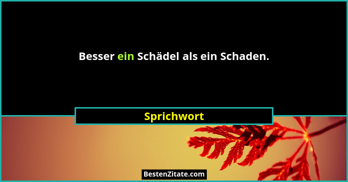 Besser ein Schädel als ein Schaden.... - Sprichwort
