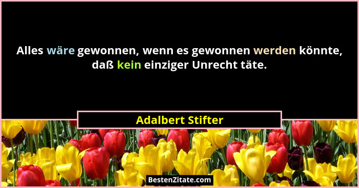 Alles wäre gewonnen, wenn es gewonnen werden könnte, daß kein einziger Unrecht täte.... - Adalbert Stifter