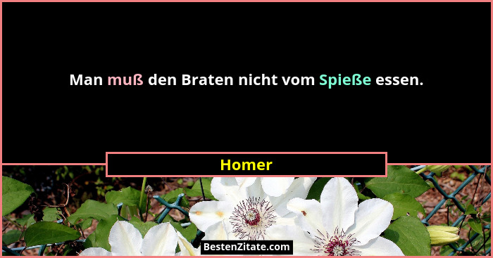 Man muß den Braten nicht vom Spieße essen.... - Homer